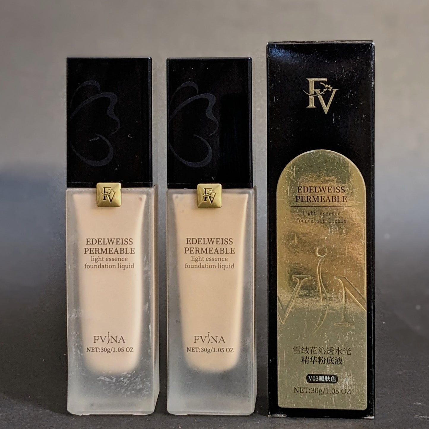 Fv Chinese Foundation